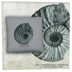 Balatonites 1