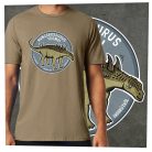 Hungarosaurus tormai