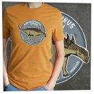 Hungarosaurus tormai