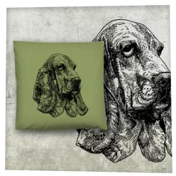 Kutya-Bassethound