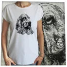 Kutya-Bassethound