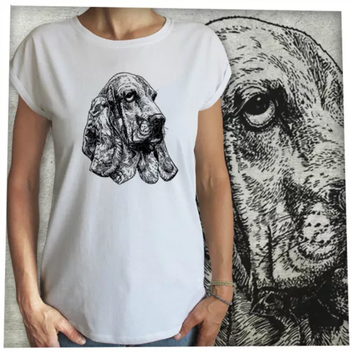 Kutya-Bassethound