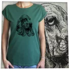 Kutya-Bassethound