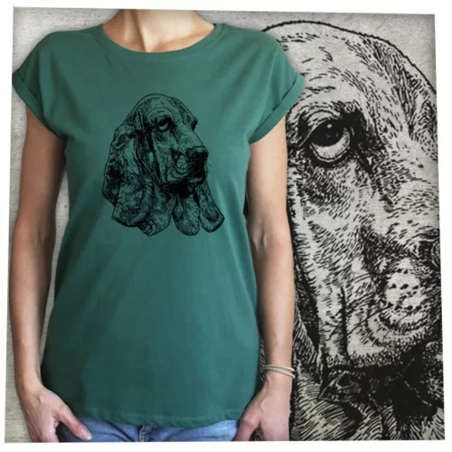 Kutya-Bassethound