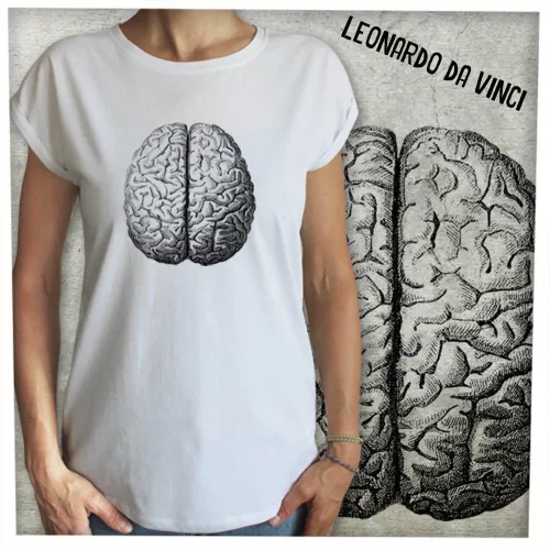 Leonardo agy