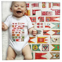 Magyar hadizászlók