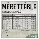 Magyar hadizászlók