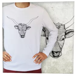 Magyar szürkemarha fej