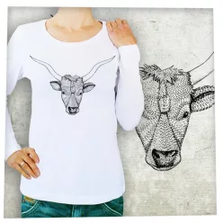 Magyar szürkemarha fej