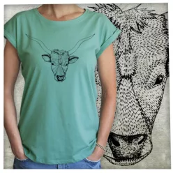 Magyar szürkemarha fej