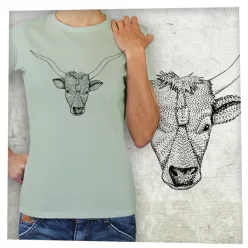 Magyar szürkemarha fej