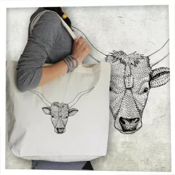 Magyar szürkemarha fej