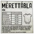 Mozdony-Nohab dízelvonat M61