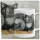 Szürke macska