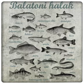 Balatoni halak