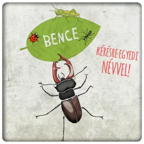 Erdőjáróknak saját névvel