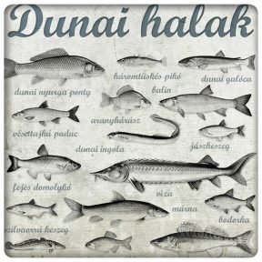 Dunai halak