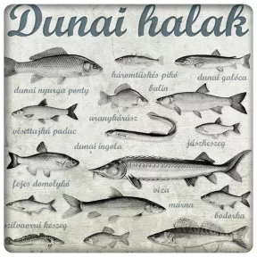 Dunai halak