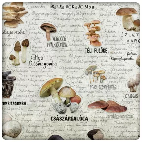 Magyarország ehető gombái