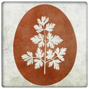 Húsvéti tojás nagy berzselt