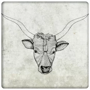 Magyar szürkemarha fej