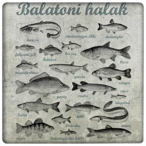 Balatoni halak