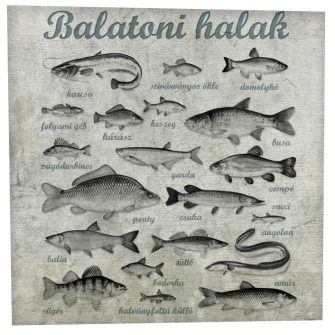 Balatoni halak