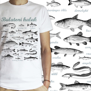 BALATONI HALAK JAVÍTVA